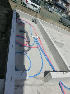 CIMG2216 (1725x2300).jpg